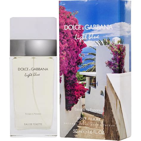 dolce and gabbana reviews